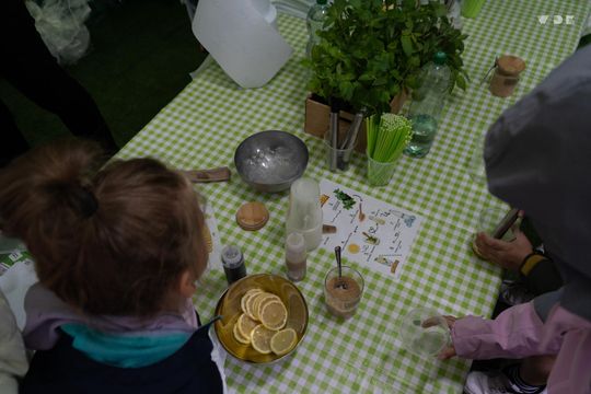 Włodawa. Jubileuszowe XXX Poleskie Lato z Folklorem 2025 [GALERIA ZDJĘĆ]