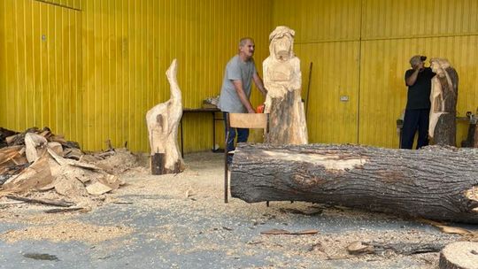 XXVI Plener Malarsko-Rzeźbiarski im. Stanisława Dobrowolskiego w Wierzbicy [GALERIA ZDJĘĆ]