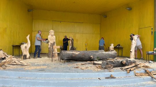 XXVI Plener Malarsko-Rzeźbiarski im. Stanisława Dobrowolskiego w Wierzbicy [GALERIA ZDJĘĆ]