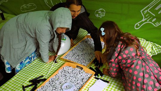 Włodawa. Jubileuszowe XXX Poleskie Lato z Folklorem 2025 [GALERIA ZDJĘĆ]