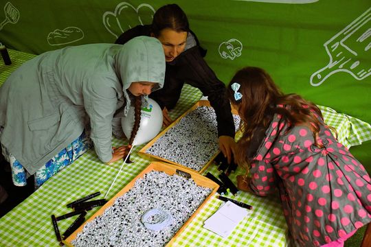 Włodawa. Jubileuszowe XXX Poleskie Lato z Folklorem 2025 [GALERIA ZDJĘĆ]