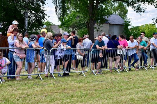 Gm. Ruda-Huta. Powiatowy Dzień Konia Zimnokrwistego w Żalinie Kolonii Cz. II [GALERIA ZDJĘĆ]