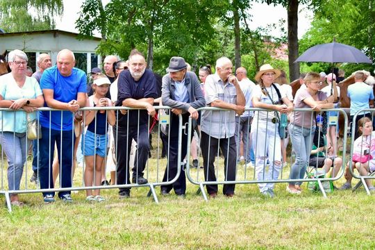 Gm. Ruda-Huta. Powiatowy Dzień Konia Zimnokrwistego w Żalinie Kolonii Cz. II [GALERIA ZDJĘĆ]