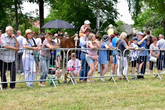 Gm. Ruda-Huta. Powiatowy Dzień Konia Zimnokrwistego w Żalinie Kolonii Cz. II [GALERIA ZDJĘĆ]