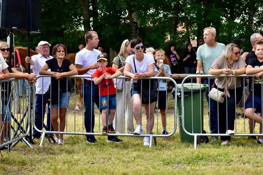 Gm. Ruda-Huta. Powiatowy Dzień Konia Zimnokrwistego w Żalinie Kolonii Cz. II [GALERIA ZDJĘĆ]