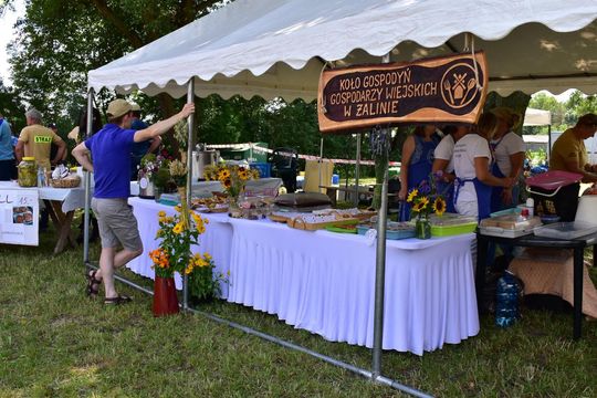 Gm. Ruda-Huta. Powiatowy Dzień Konia Zimnokrwistego w Żalinie Kolonii Cz. II [GALERIA ZDJĘĆ]