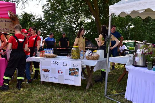 Gm. Ruda-Huta. Powiatowy Dzień Konia Zimnokrwistego w Żalinie Kolonii Cz. II [GALERIA ZDJĘĆ]