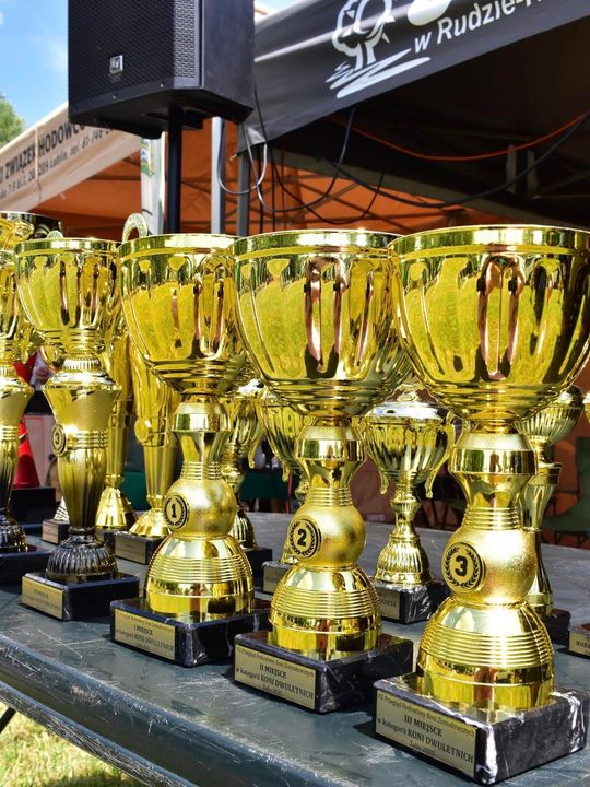 Gm. Ruda-Huta. Powiatowy Dzień Konia Zimnokrwistego w Żalinie Kolonii Cz. II [GALERIA ZDJĘĆ]