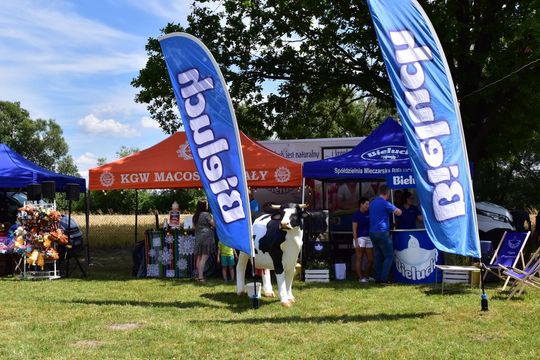 Gm. Ruda-Huta. Powiatowy Dzień Konia Zimnokrwistego w Żalinie Kolonii Cz. II [GALERIA ZDJĘĆ]