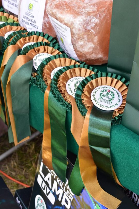 Gm. Ruda-Huta. Powiatowy Dzień Konia Zimnokrwistego w Żalinie Kolonii Cz. II [GALERIA ZDJĘĆ]