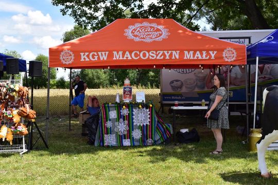 Gm. Ruda-Huta. Powiatowy Dzień Konia Zimnokrwistego w Żalinie Kolonii Cz. II [GALERIA ZDJĘĆ]