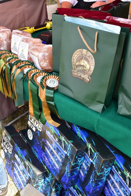 Gm. Ruda-Huta. Powiatowy Dzień Konia Zimnokrwistego w Żalinie Kolonii Cz. II [GALERIA ZDJĘĆ]