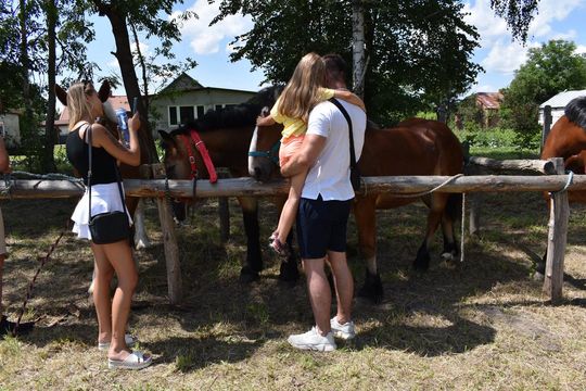 Gm. Ruda-Huta. Powiatowy Dzień Konia Zimnokrwistego w Żalinie Kolonii Cz. II [GALERIA ZDJĘĆ]