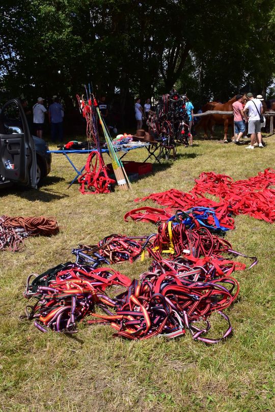 Gm. Ruda-Huta. Powiatowy Dzień Konia Zimnokrwistego w Żalinie Kolonii Cz. II [GALERIA ZDJĘĆ]