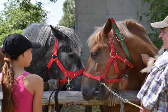 Gm. Ruda-Huta. Powiatowy Dzień Konia Zimnokrwistego w Żalinie Kolonii Cz. II [GALERIA ZDJĘĆ]