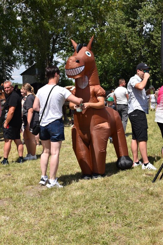 Gm. Ruda-Huta. Powiatowy Dzień Konia Zimnokrwistego w Żalinie Kolonii Cz. II [GALERIA ZDJĘĆ]