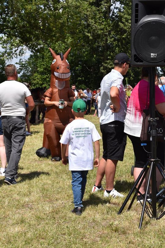 Gm. Ruda-Huta. Powiatowy Dzień Konia Zimnokrwistego w Żalinie Kolonii Cz. II [GALERIA ZDJĘĆ]