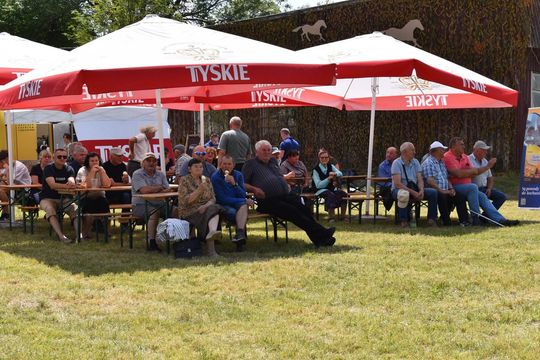 Gm. Ruda-Huta. Powiatowy Dzień Konia Zimnokrwistego w Żalinie Kolonii Cz. II [GALERIA ZDJĘĆ]