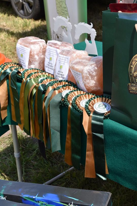 Gm. Ruda-Huta. Powiatowy Dzień Konia Zimnokrwistego w Żalinie Kolonii Cz. II [GALERIA ZDJĘĆ]