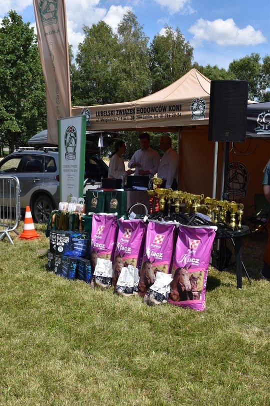 Gm. Ruda-Huta. Powiatowy Dzień Konia Zimnokrwistego w Żalinie Kolonii Cz. II [GALERIA ZDJĘĆ]