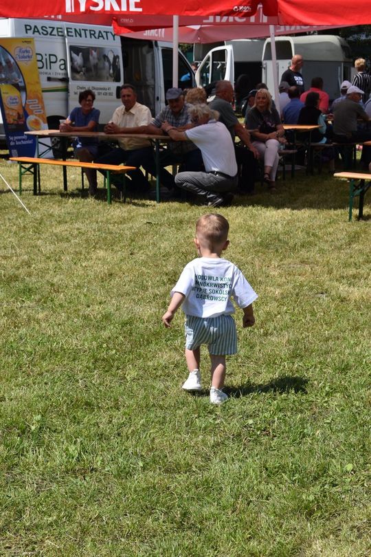 Gm. Ruda-Huta. Powiatowy Dzień Konia Zimnokrwistego w Żalinie Kolonii Cz. II [GALERIA ZDJĘĆ]