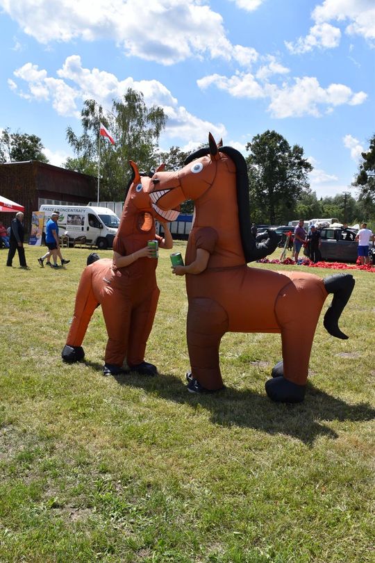 Gm. Ruda-Huta. Powiatowy Dzień Konia Zimnokrwistego w Żalinie Kolonii Cz. II [GALERIA ZDJĘĆ]