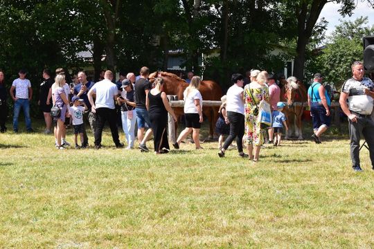 Gm. Ruda-Huta. Powiatowy Dzień Konia Zimnokrwistego w Żalinie Kolonii Cz. II [GALERIA ZDJĘĆ]