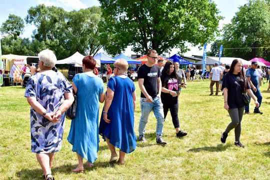 Gm. Ruda-Huta. Powiatowy Dzień Konia Zimnokrwistego w Żalinie Kolonii Cz. II [GALERIA ZDJĘĆ]