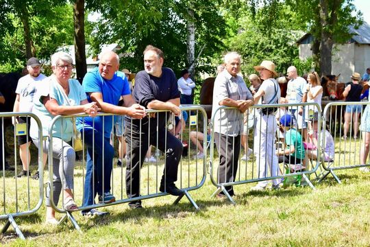 Gm. Ruda-Huta. Powiatowy Dzień Konia Zimnokrwistego w Żalinie Kolonii Cz. II [GALERIA ZDJĘĆ]