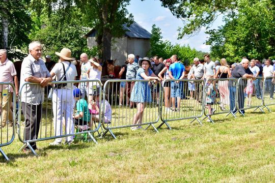Gm. Ruda-Huta. Powiatowy Dzień Konia Zimnokrwistego w Żalinie Kolonii Cz. II [GALERIA ZDJĘĆ]