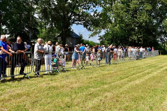 Gm. Ruda-Huta. Powiatowy Dzień Konia Zimnokrwistego w Żalinie Kolonii Cz. II [GALERIA ZDJĘĆ]