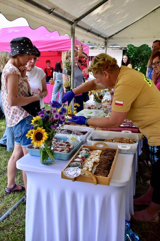 Gm. Ruda-Huta. Powiatowy Dzień Konia Zimnokrwistego w Żalinie Kolonii Cz. II [GALERIA ZDJĘĆ]