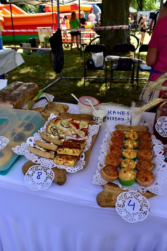 Gm. Ruda-Huta. Powiatowy Dzień Konia Zimnokrwistego w Żalinie Kolonii Cz. II [GALERIA ZDJĘĆ]