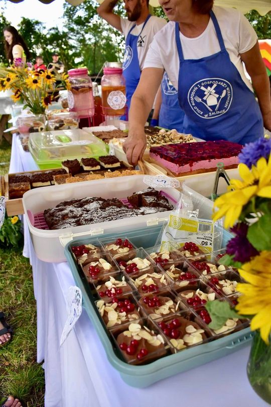 Gm. Ruda-Huta. Powiatowy Dzień Konia Zimnokrwistego w Żalinie Kolonii Cz. II [GALERIA ZDJĘĆ]
