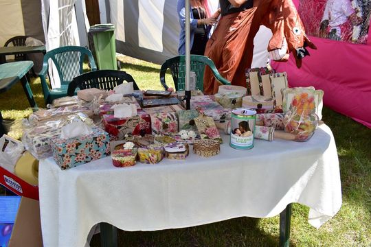 Gm. Ruda-Huta. Powiatowy Dzień Konia Zimnokrwistego w Żalinie Kolonii Cz. II [GALERIA ZDJĘĆ]