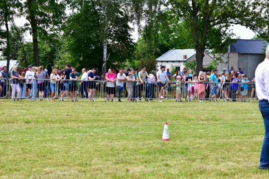 Gm. Ruda-Huta. Powiatowy Dzień Konia Zimnokrwistego w Żalinie Kolonii Cz. II [GALERIA ZDJĘĆ]