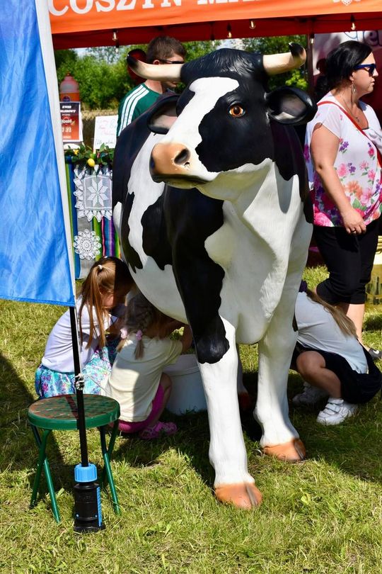 Gm. Ruda-Huta. Powiatowy Dzień Konia Zimnokrwistego w Żalinie Kolonii Cz. II [GALERIA ZDJĘĆ]