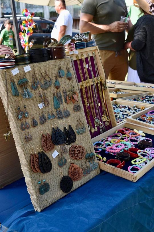 Gm. Ruda-Huta. Powiatowy Dzień Konia Zimnokrwistego w Żalinie Kolonii Cz. II [GALERIA ZDJĘĆ]