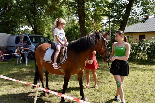 Gm. Ruda-Huta. Powiatowy Dzień Konia Zimnokrwistego w Żalinie Kolonii Cz. II [GALERIA ZDJĘĆ]