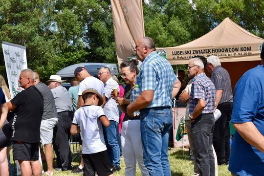 Gm. Ruda-Huta. Powiatowy Dzień Konia Zimnokrwistego w Żalinie Kolonii Cz. II [GALERIA ZDJĘĆ]