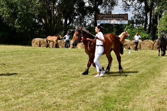 Gm. Ruda-Huta. Powiatowy Dzień Konia Zimnokrwistego w Żalinie Kolonii Cz. II [GALERIA ZDJĘĆ]