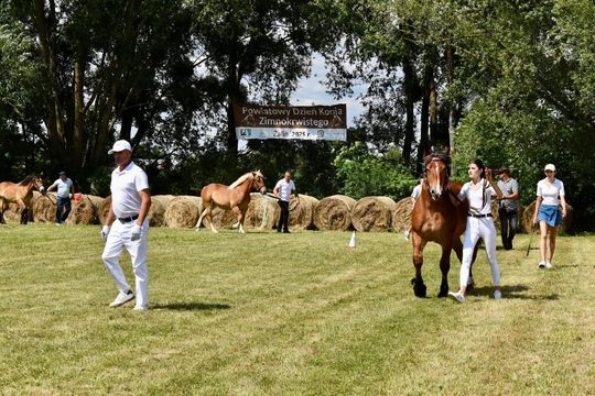 Gm. Ruda-Huta. Powiatowy Dzień Konia Zimnokrwistego w Żalinie Kolonii Cz. II [GALERIA ZDJĘĆ]