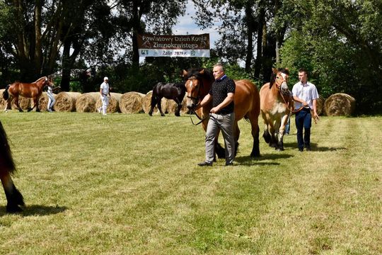 Gm. Ruda-Huta. Powiatowy Dzień Konia Zimnokrwistego w Żalinie Kolonii Cz. II [GALERIA ZDJĘĆ]