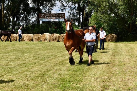 Gm. Ruda-Huta. Powiatowy Dzień Konia Zimnokrwistego w Żalinie Kolonii Cz. II [GALERIA ZDJĘĆ]