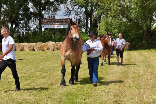 Gm. Ruda-Huta. Powiatowy Dzień Konia Zimnokrwistego w Żalinie Kolonii Cz. II [GALERIA ZDJĘĆ]