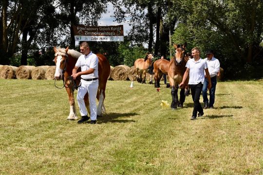 Gm. Ruda-Huta. Powiatowy Dzień Konia Zimnokrwistego w Żalinie Kolonii Cz. II [GALERIA ZDJĘĆ]