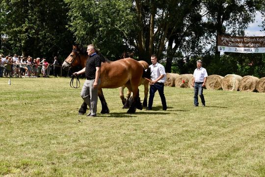Gm. Ruda-Huta. Powiatowy Dzień Konia Zimnokrwistego w Żalinie Kolonii Cz. II [GALERIA ZDJĘĆ]