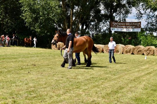 Gm. Ruda-Huta. Powiatowy Dzień Konia Zimnokrwistego w Żalinie Kolonii Cz. II [GALERIA ZDJĘĆ]