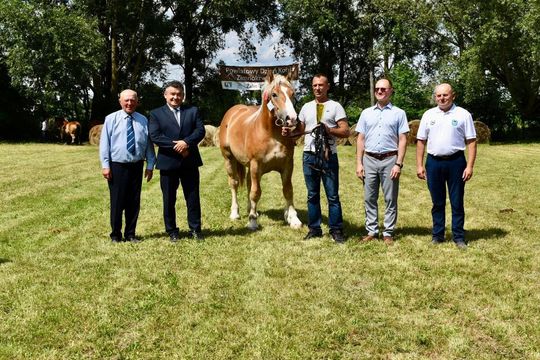 Gm. Ruda-Huta. Powiatowy Dzień Konia Zimnokrwistego w Żalinie Kolonii Cz. II [GALERIA ZDJĘĆ]