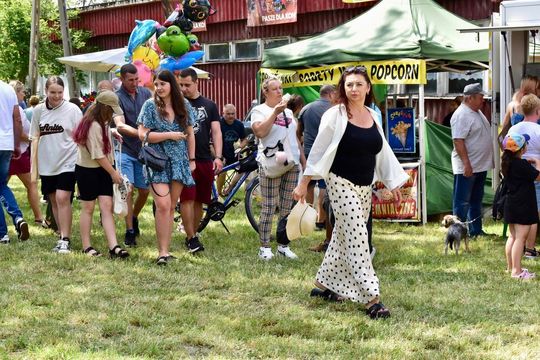 Gm. Ruda-Huta. Powiatowy Dzień Konia Zimnokrwistego w Żalinie Kolonii Cz. II [GALERIA ZDJĘĆ]